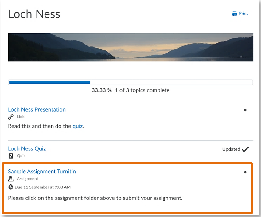 Link to assignment